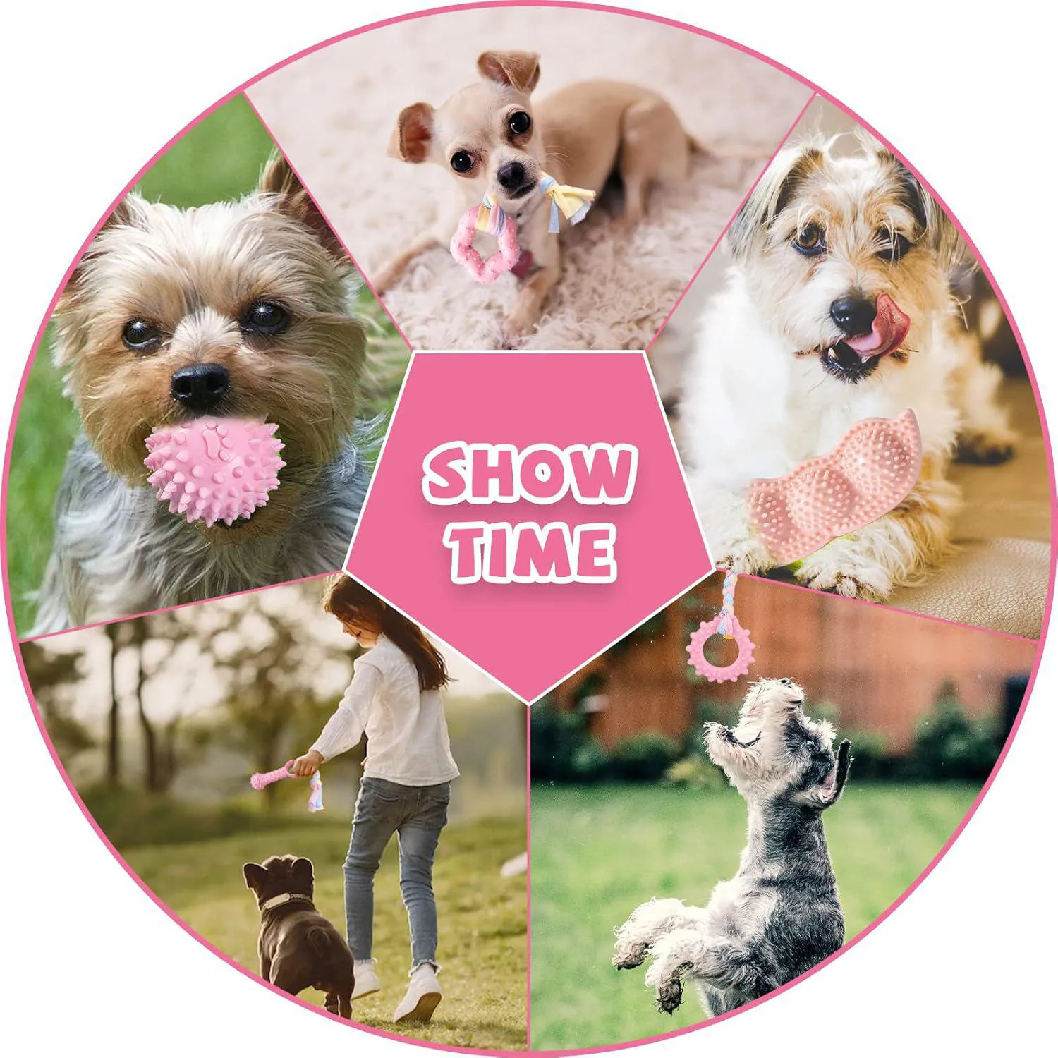 Paquete De Juguetes Para Cachorros Con Dentición Segura Y Diseño Interactivo 7