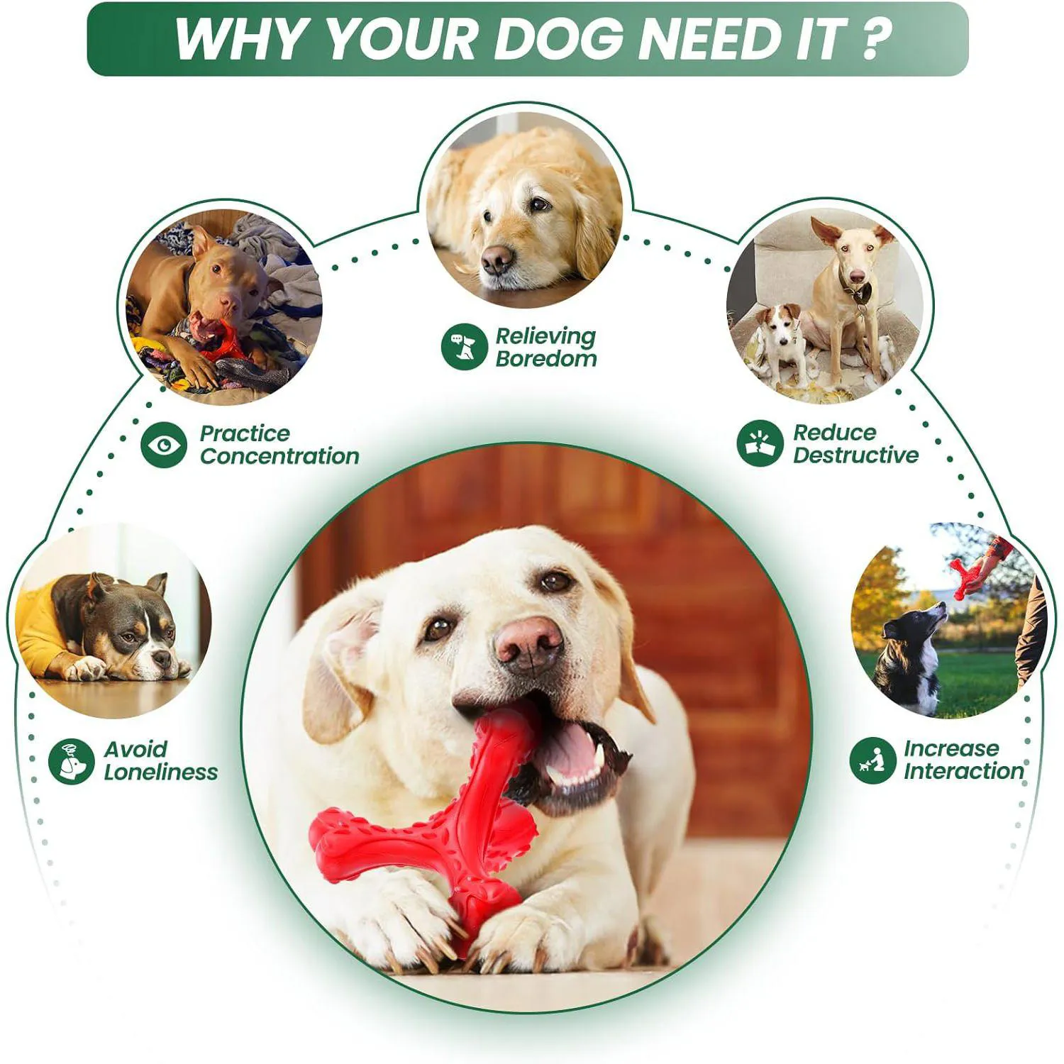 Juguete De Hueso Resistente Para Perros Grandes Con Limpieza Dental 4