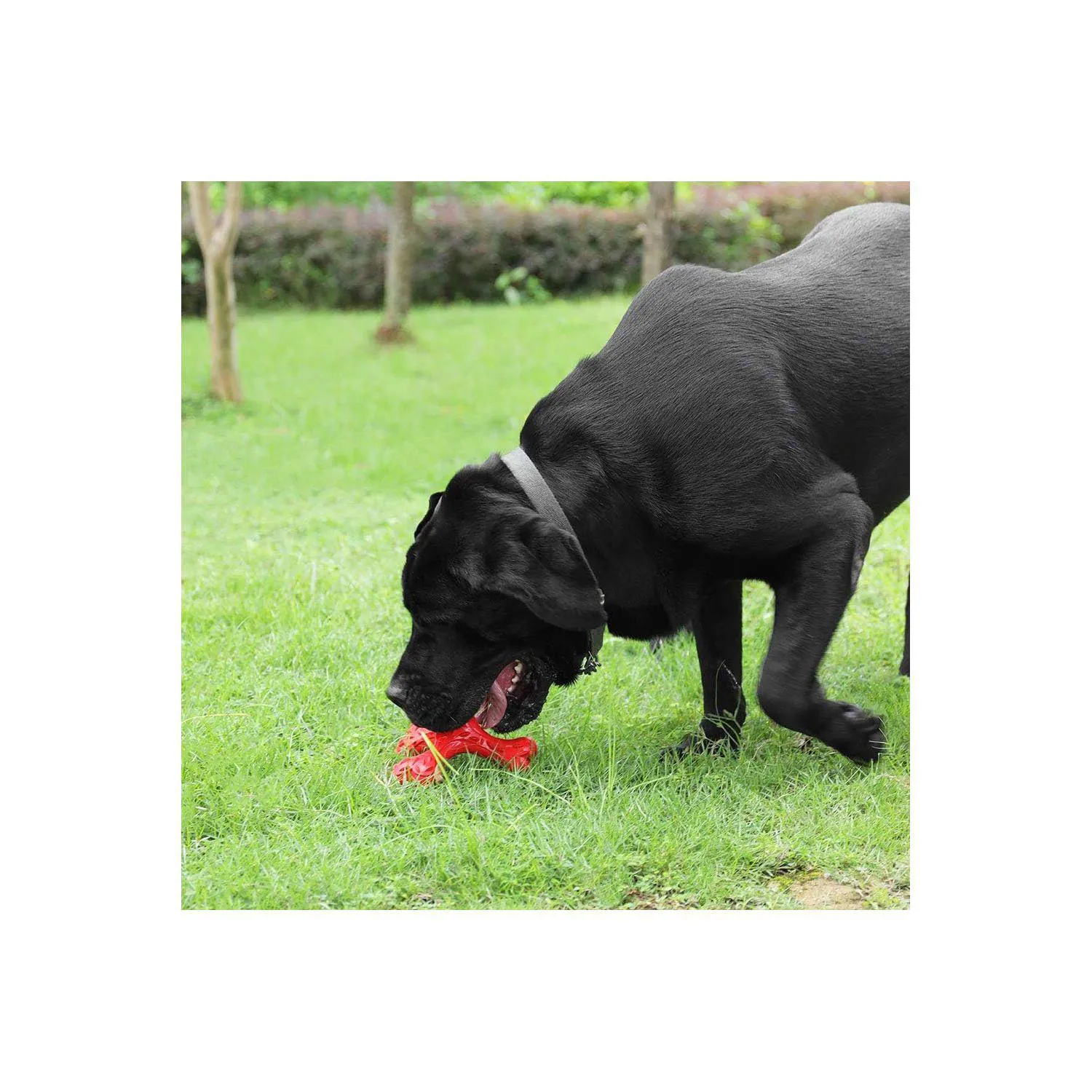 Juguete De Hueso Resistente Para Perros Grandes Con Limpieza Dental 7