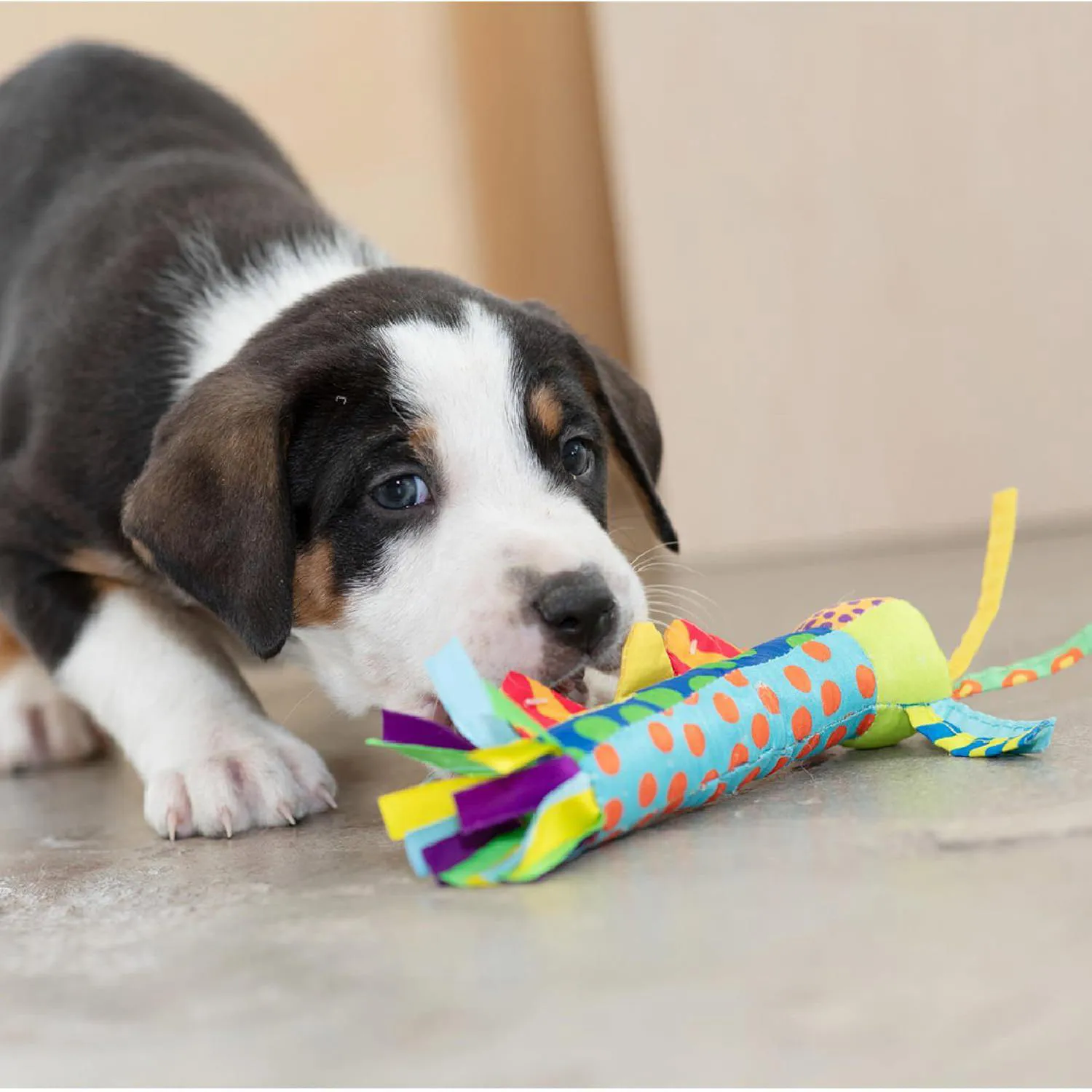 Juguete Petstages Para Cachorros Con Alivio De Dentición Por Congelación 7