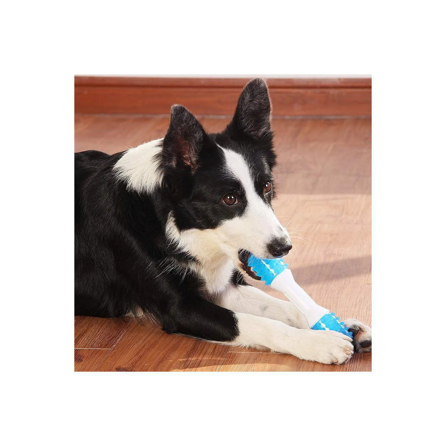 Juguete Dental Para Cachorros De Dentición Con Diseño Resistente Y Seguro 6