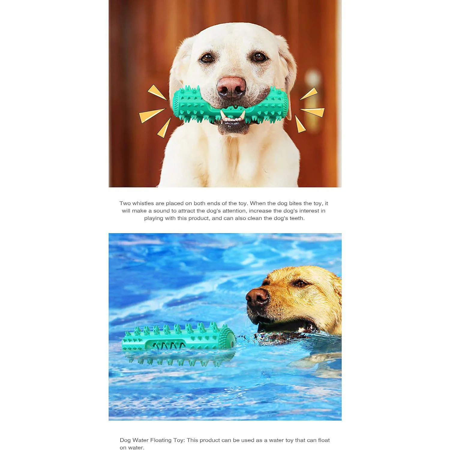 Juguete De Limpieza Dental Para Perros Con Diseño Rellenable Y Material Seguro 3