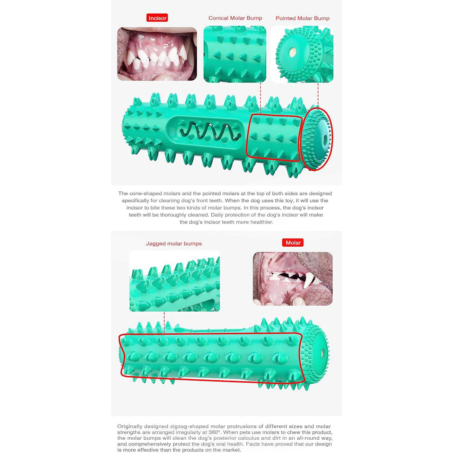 Juguete De Limpieza Dental Para Perros Con Diseño Rellenable Y Material Seguro 4