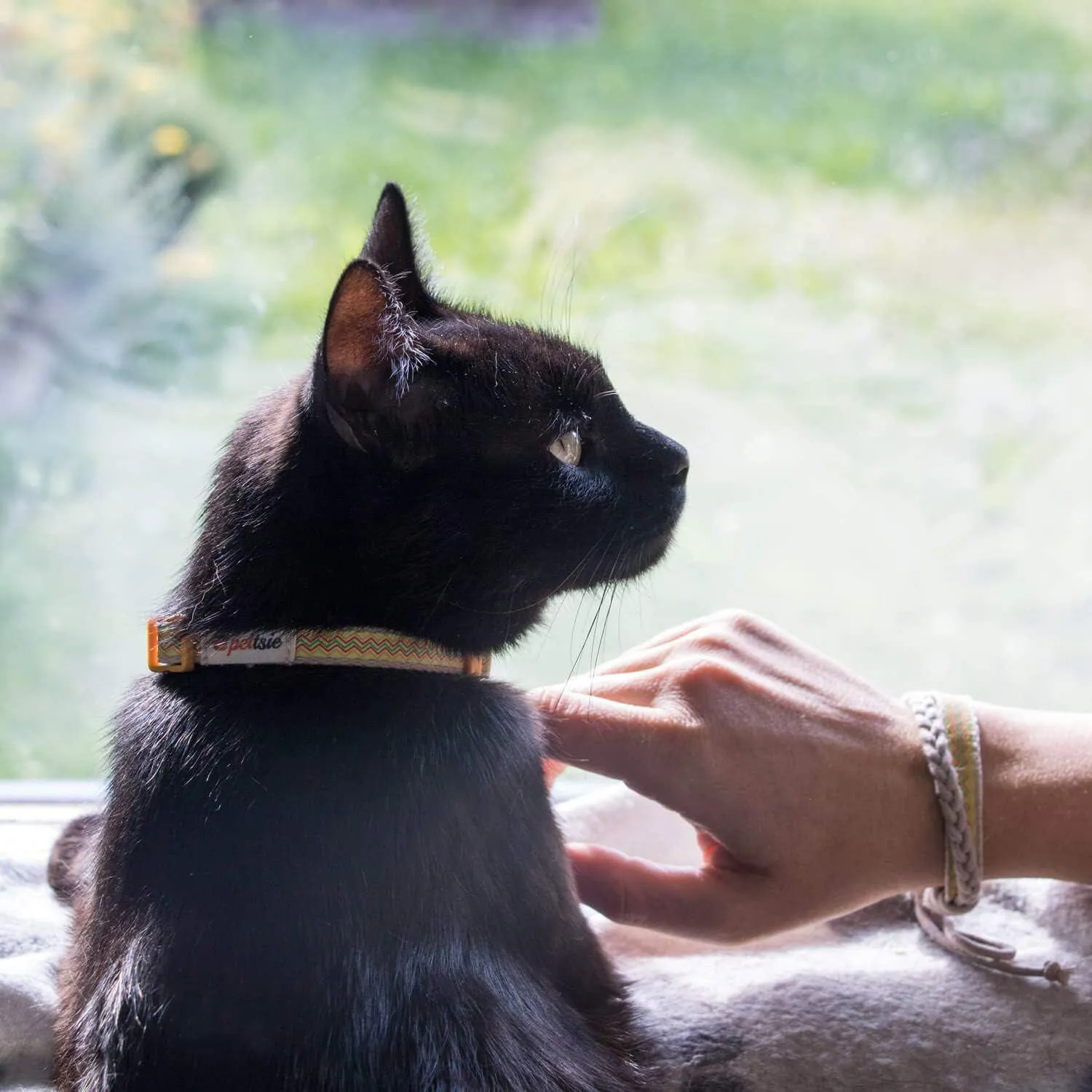 Collar Pettsie Para Gato y Pulsera de Amistad a Juego Ajustable Algodón 4