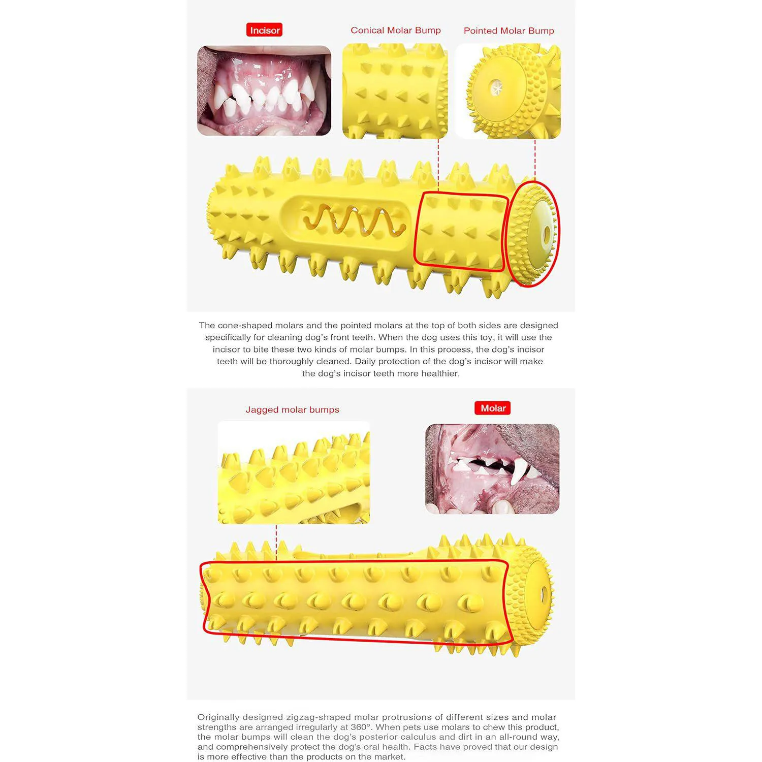 Palo Masticable Para Perros Con Diseño De Cepillo Dental Y Sabor A Mantequilla De Maní 4