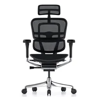 Silla Gerencial Ergohuman Black (Basic2 Ehb2Wb-Ab-Ham Black)
