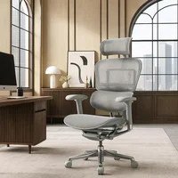 Silla Gerencial Ergohuman Grey (Basic2 Ehb2Wb-Ab-Ham White)