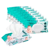 Set Pañitos Humedos R+F 720 Unds 9Pq X 80