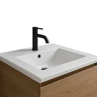 Combo Lavamanos Placa De 50X46 Cm Blanco+Grifería Agua Fria Negra+Desague Push
