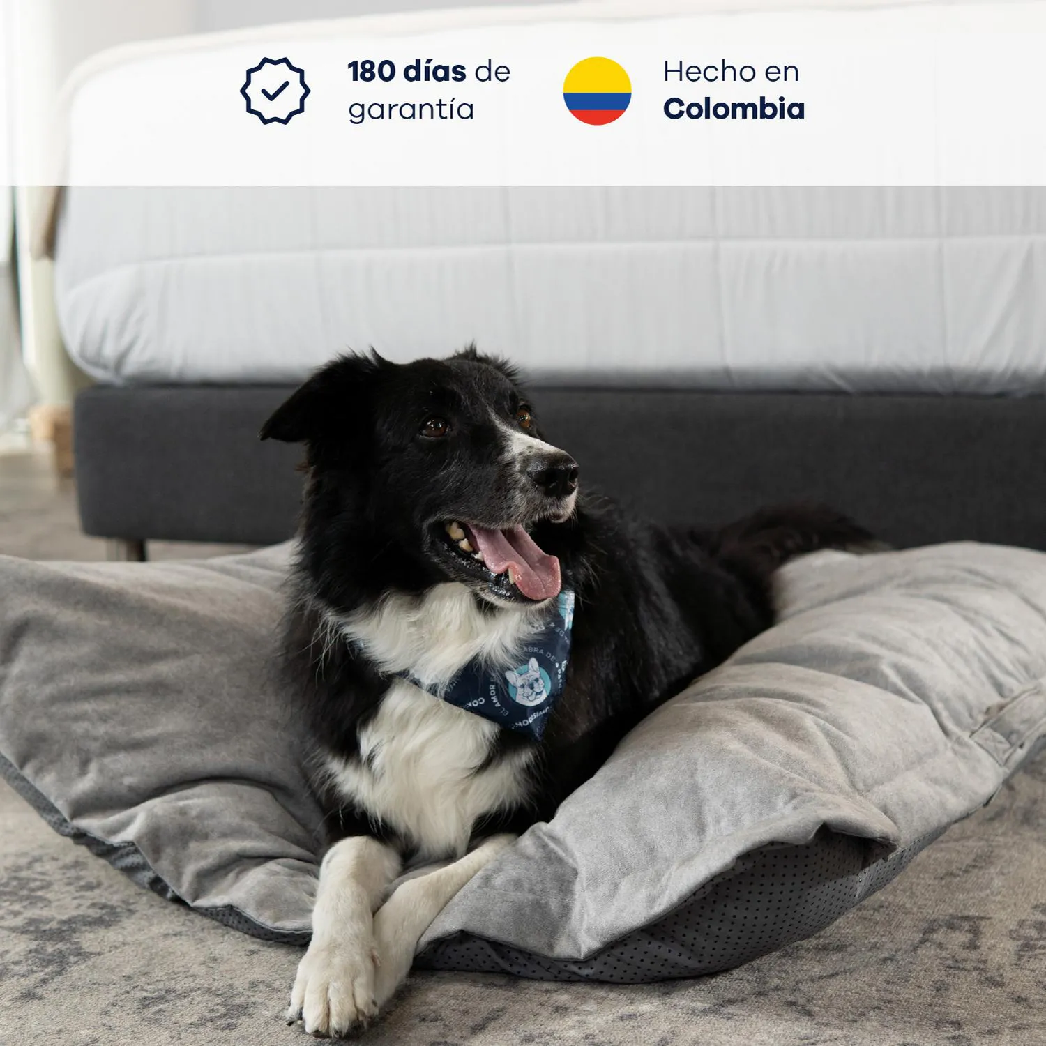 Cama para Perros Cozy Puff Mediana 60x60x15 3