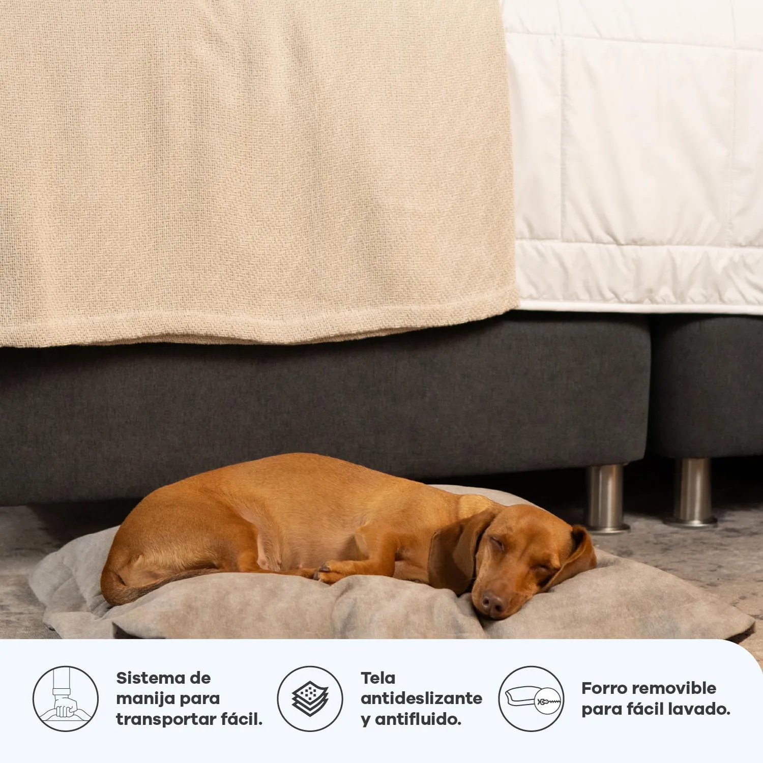Cama para Perros Cozy Puff Grande 100x100x20 4