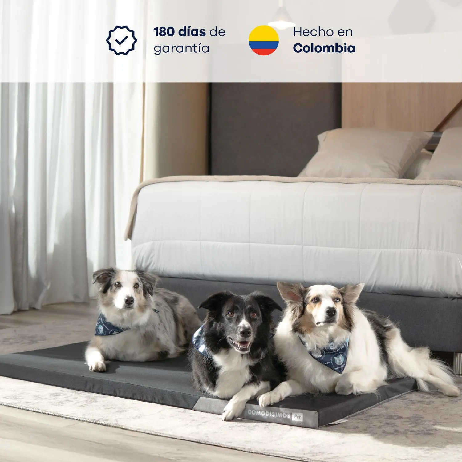 Cama para Perros Cozy Pad Grande 70x110x5 3