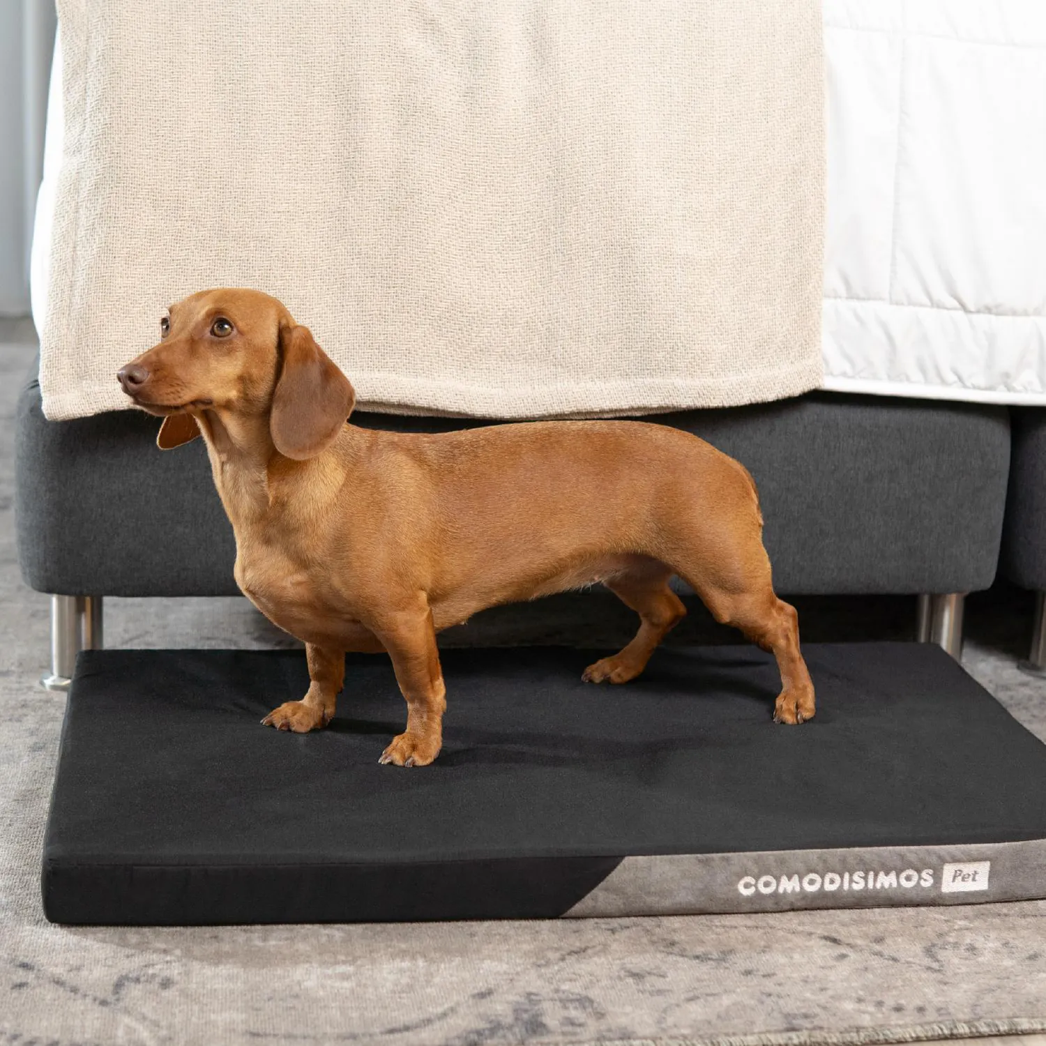 Cama para Perros Cozy Pad Grande 70x110x5 5