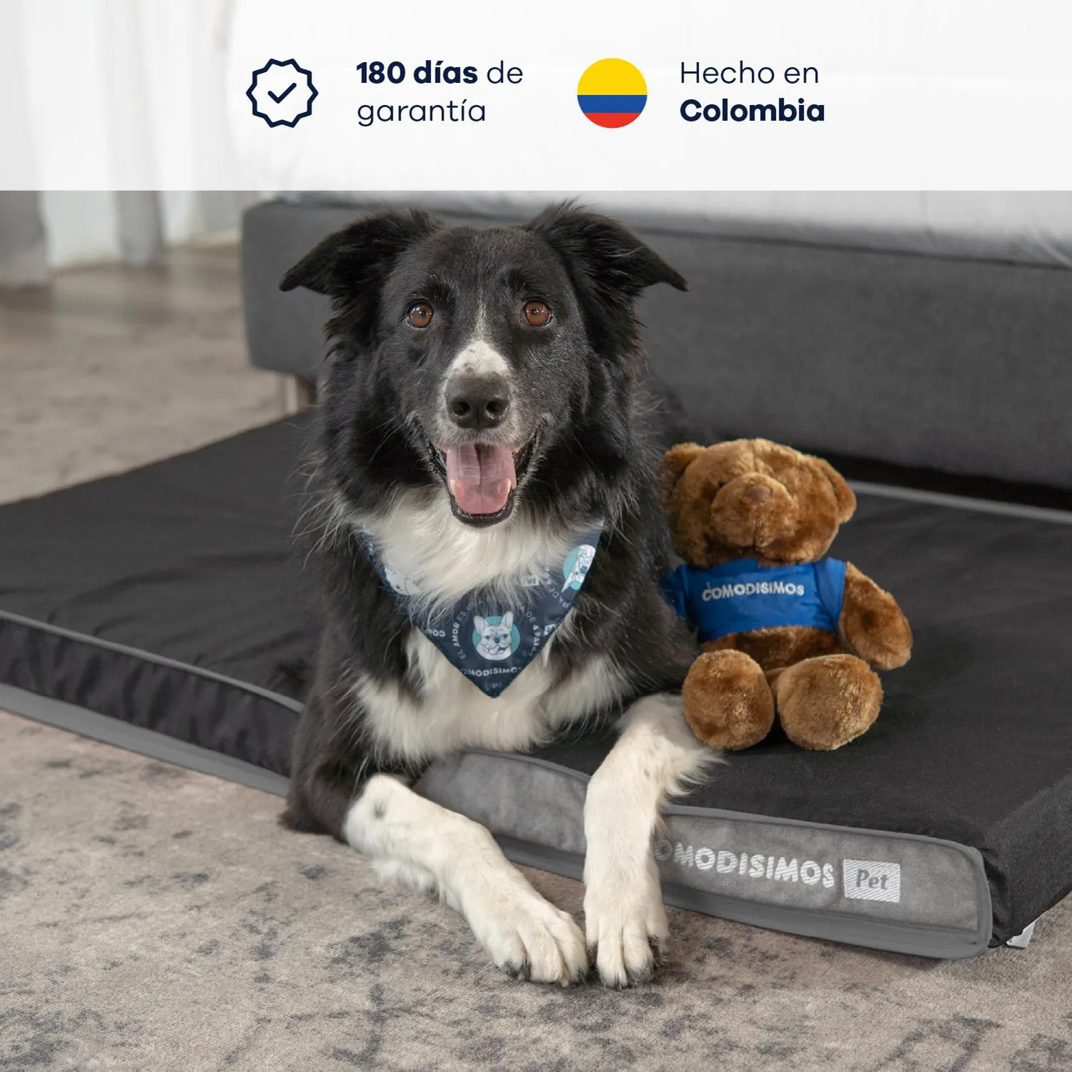 Cama para Perros Cozy Sweet Pequeña 40x60x8 3