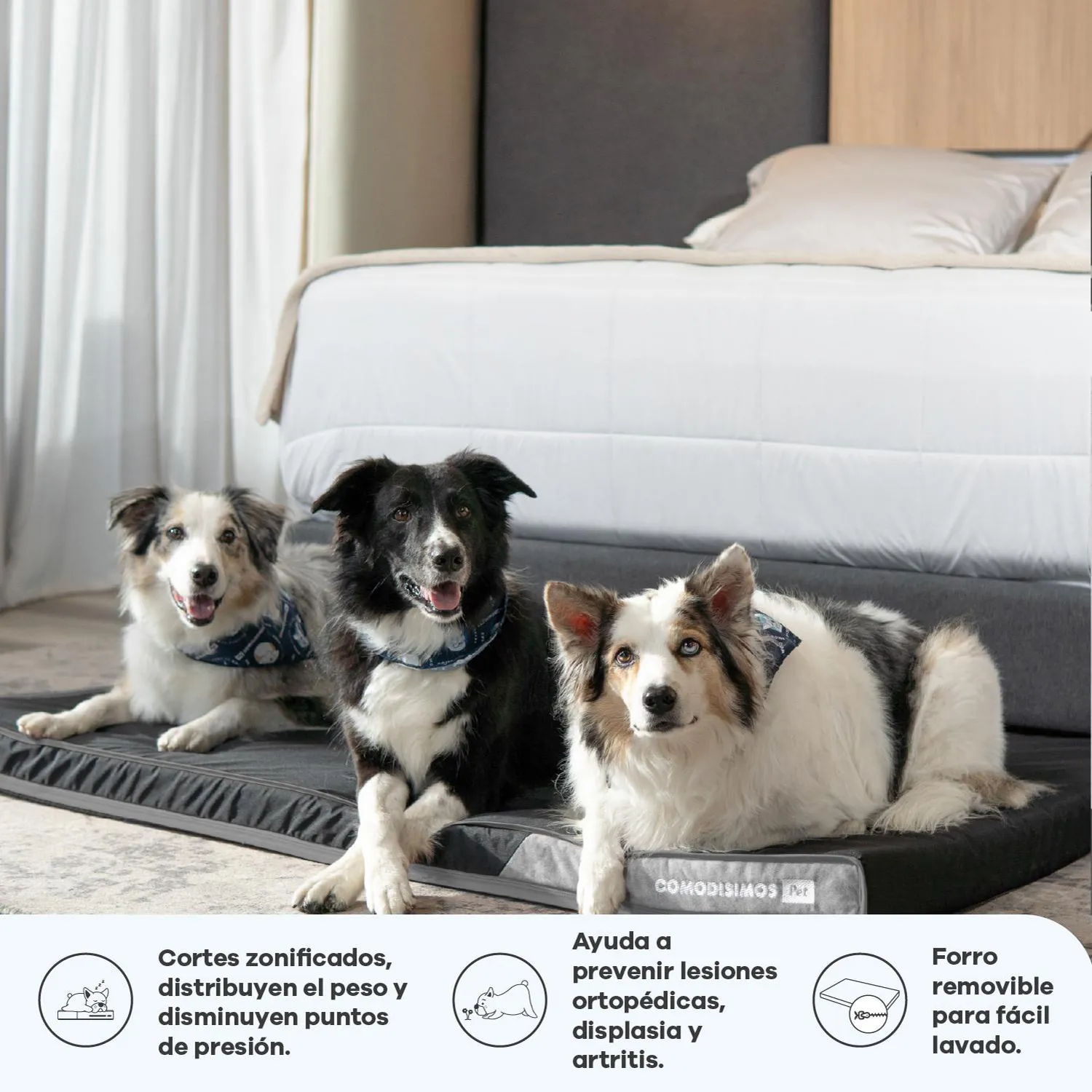 Cama para Perros Cozy Sweet Gigante 90x140x8 3