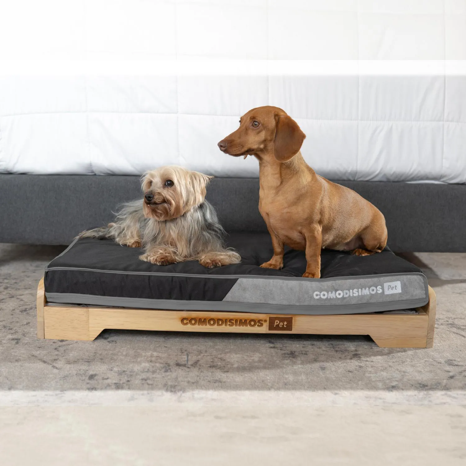 Base Cama para Perros Sommier Pet Mediano 50x80x15 5