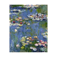 Pintura Por Números Meecaa Lirio De Agua Acrílico Enmarcado