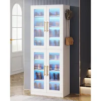 Zapatero con Puertas Acrílicas y Luces LED Integradas