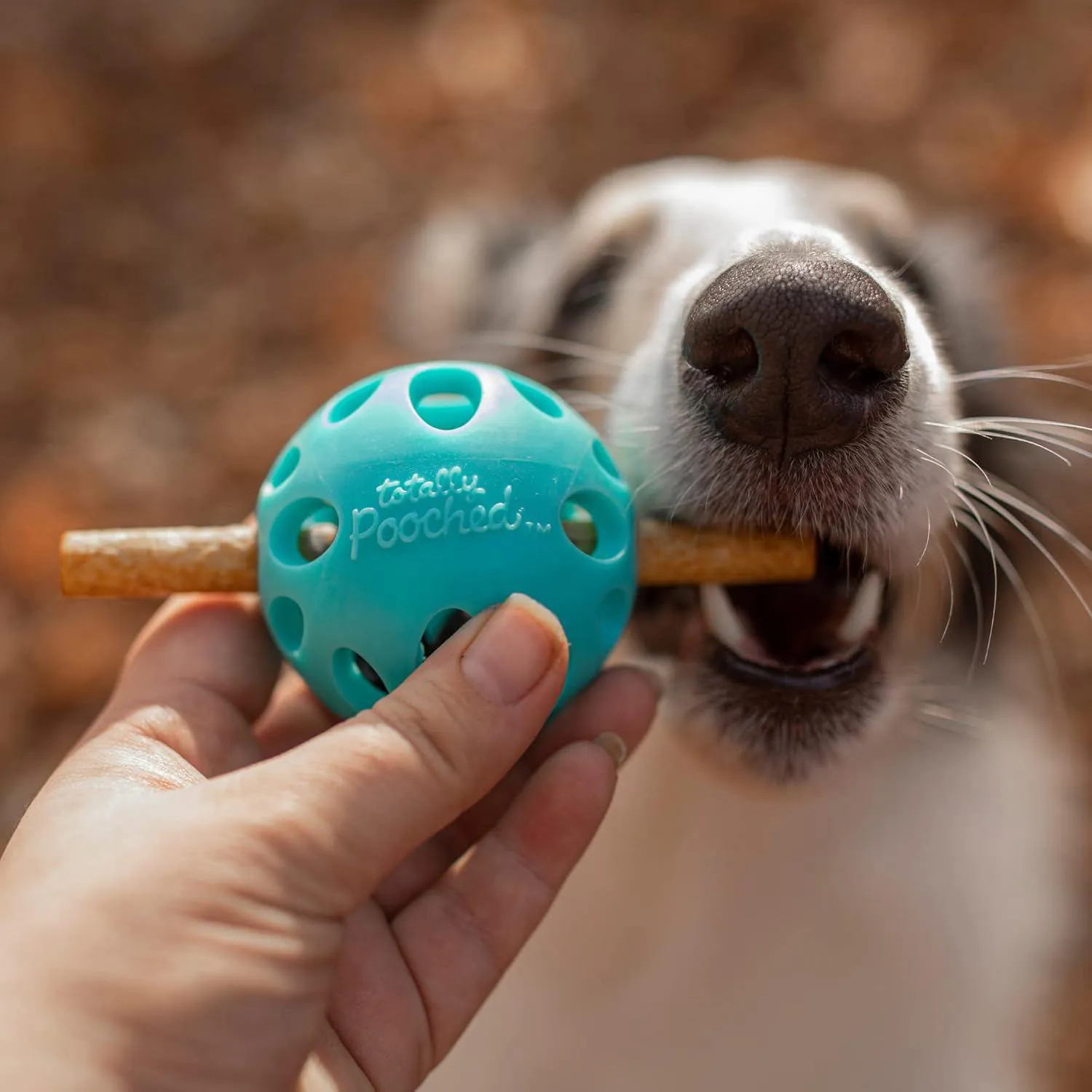Pelota Interactiva Para Perros Con Dispensador De Golosinas Y Limpieza Dental 5