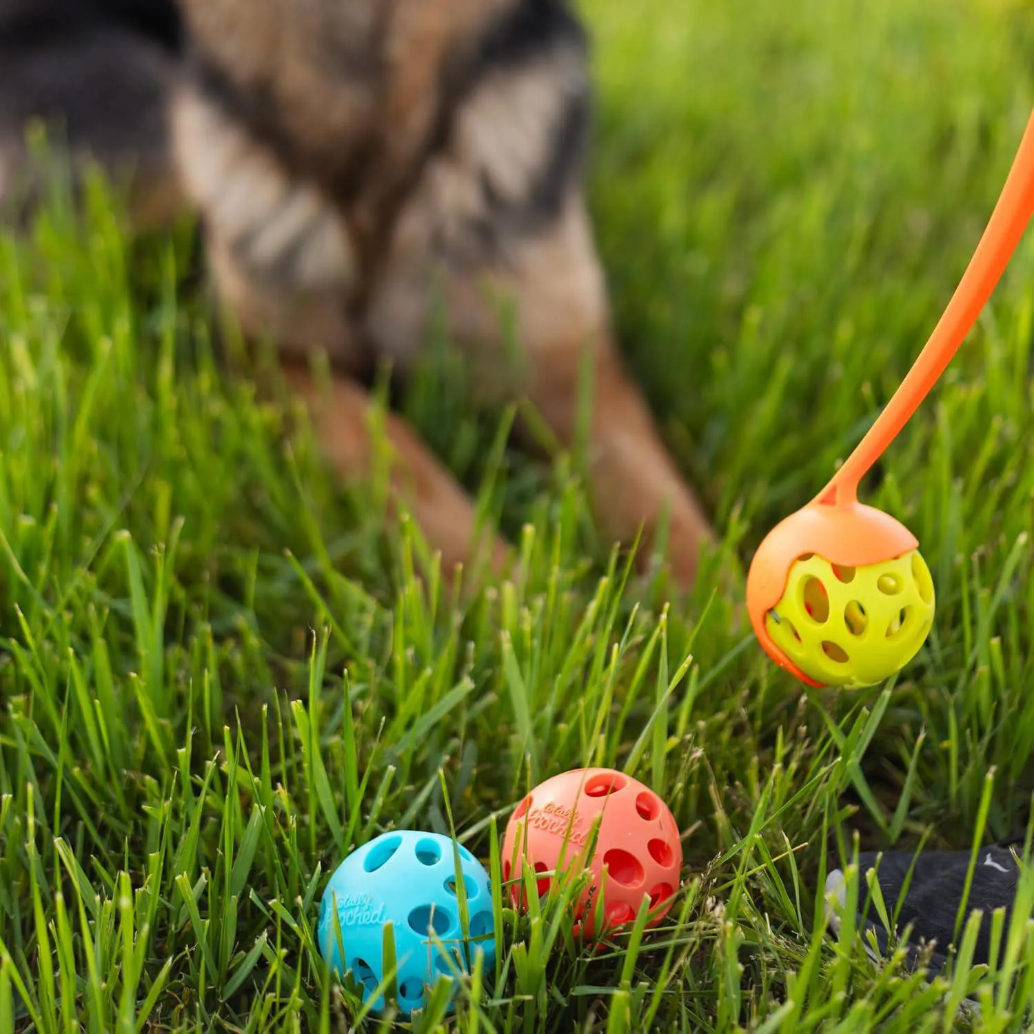 Pelota Interactiva Para Perros Con Dispensador De Golosinas Y Limpieza Dental 6