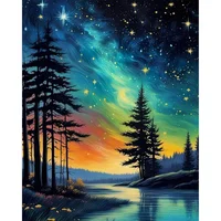 Starry Sky Pintura Por Números para Adultos 16x20