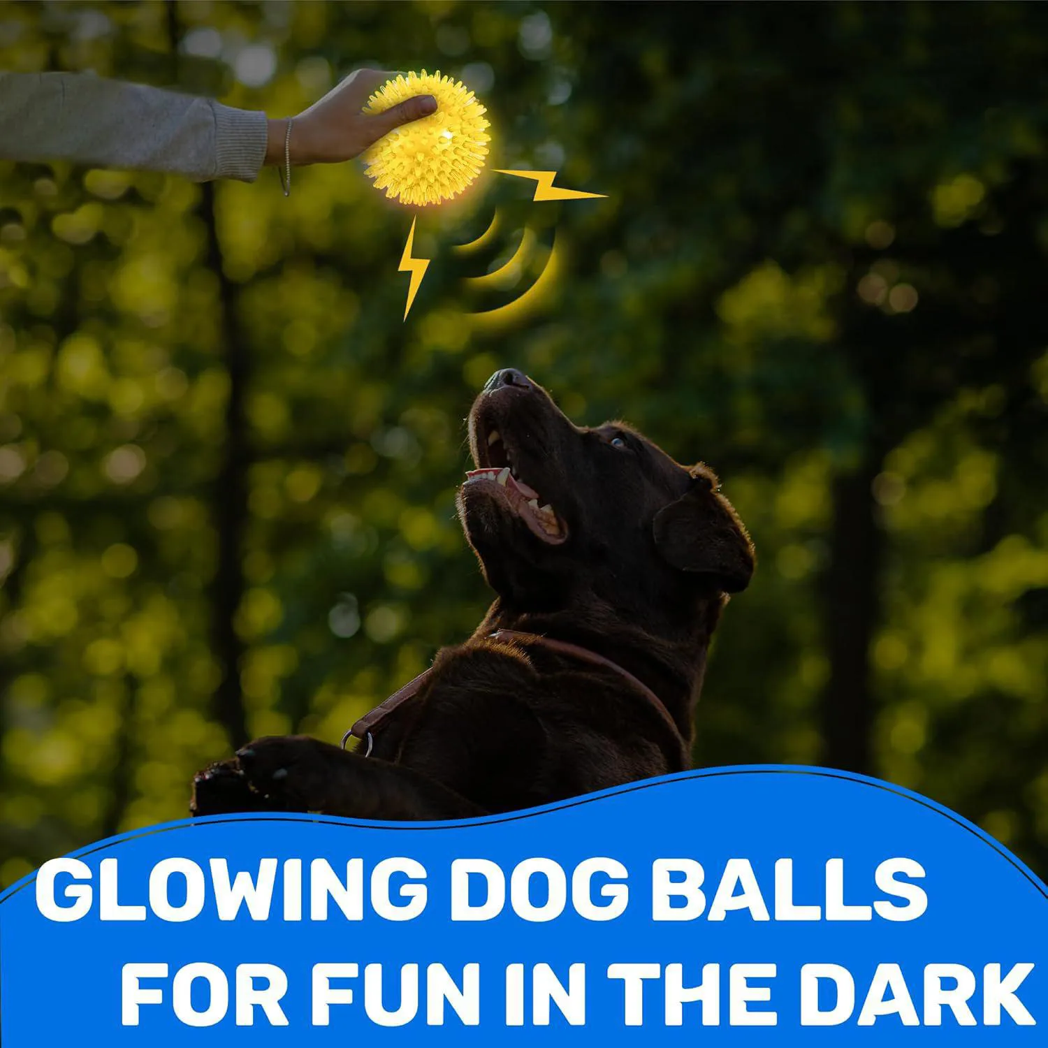 Paquete De 6 Pelotas Para Perros Con Sonido Y Luz Que Estimulan El Juego Activo 6