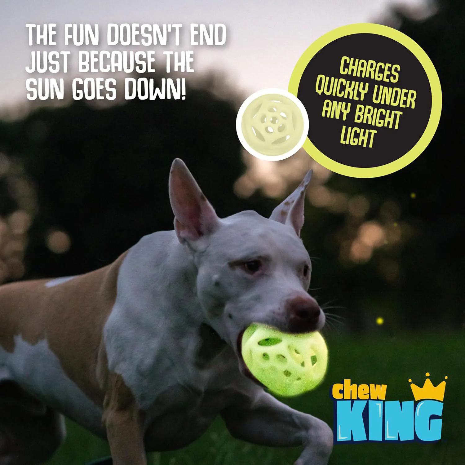 Pelotas Brillantes Para Perros Paquete De Dos Con Diseño Resistente Chew King 3