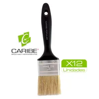 Brocha Pop 2" x 12 Unidades Caribe