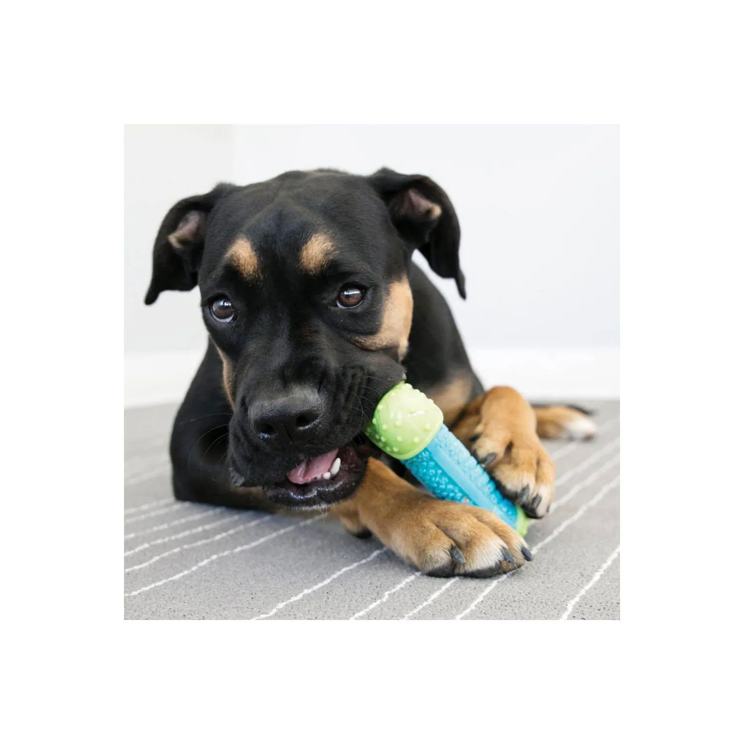 Juguete Dental Para Perros KONG CoreStrength Que Resiste Mordidas Y Limpia Dientes 5