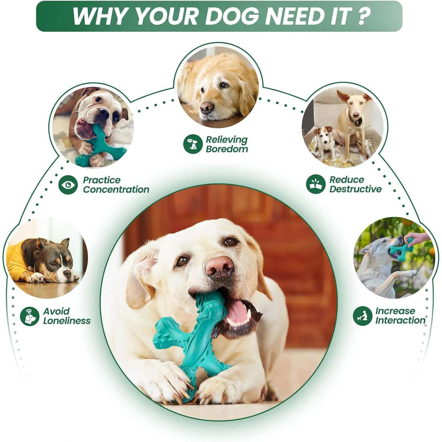 Juguete De Hueso Para Perros Grandes Con Limpieza Dental Y Alta Resistencia 4