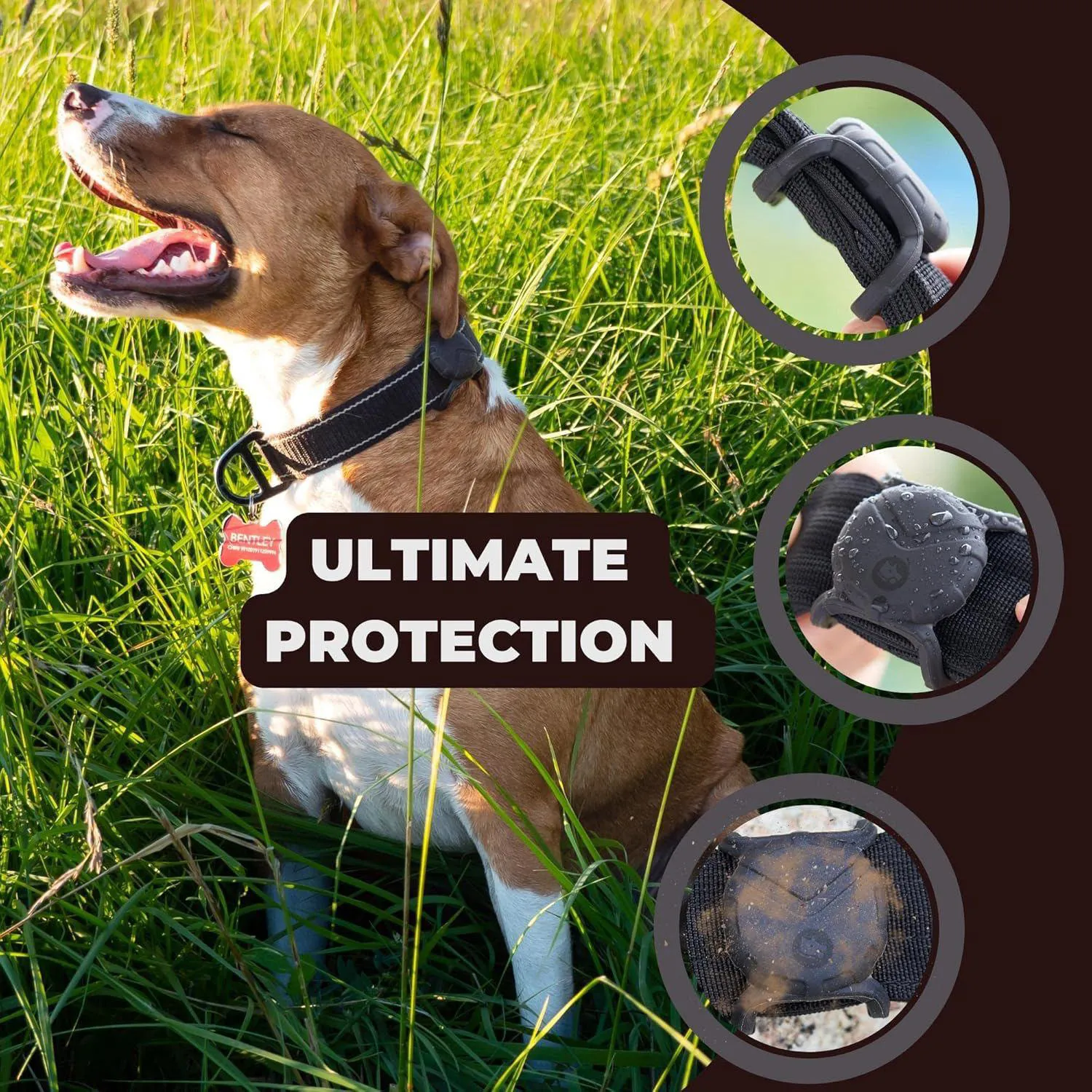 Soporte Para Airtag De Mascota En Goma Lavable Para Collar De Hasta 5 Cm Fossa 6