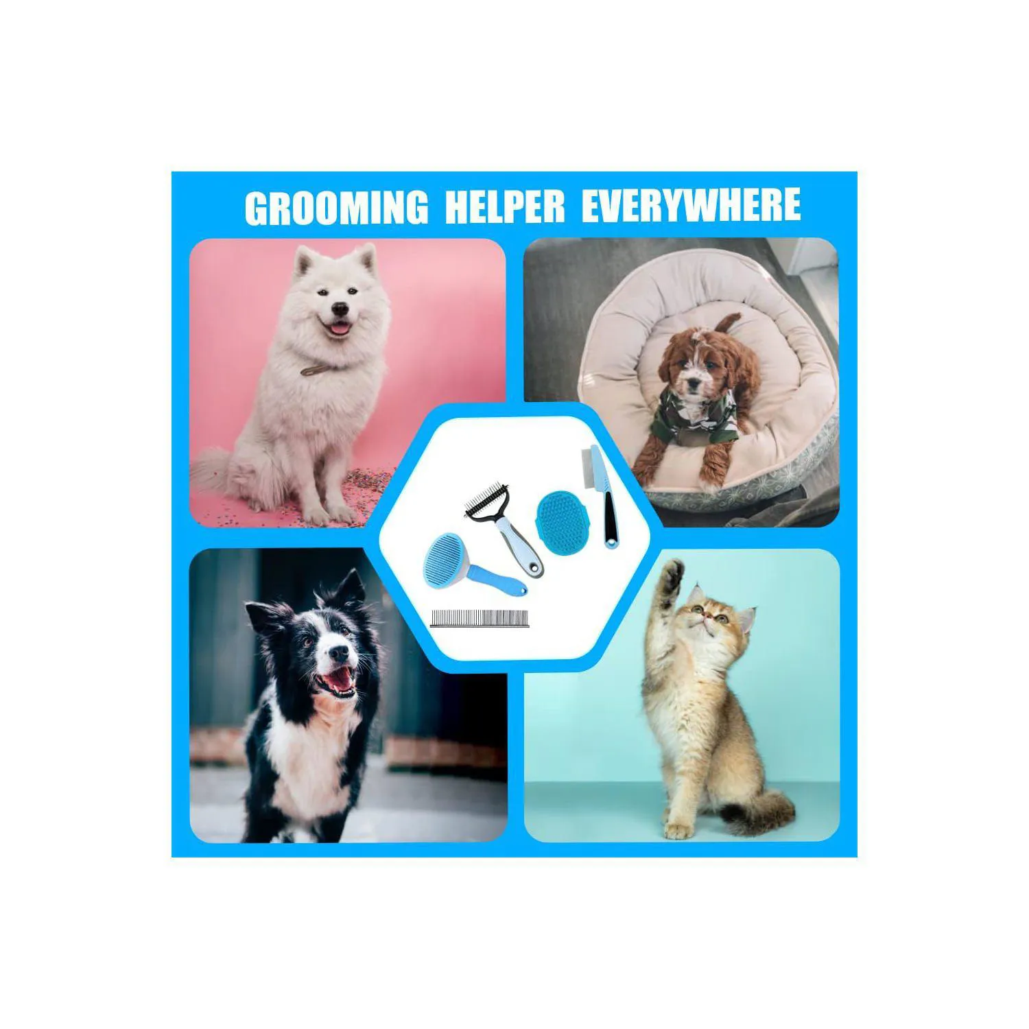 Kit De Aseo Para Perros Con Cepillos Y Peines Para Cuidado Completo 7