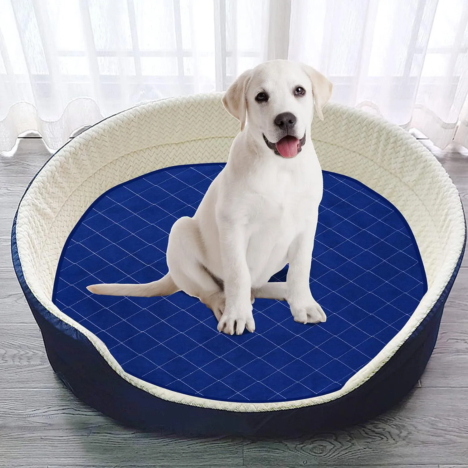 Almohadilla Lavable Para Perros Redonda Reutilizable Con Base Antideslizante 6