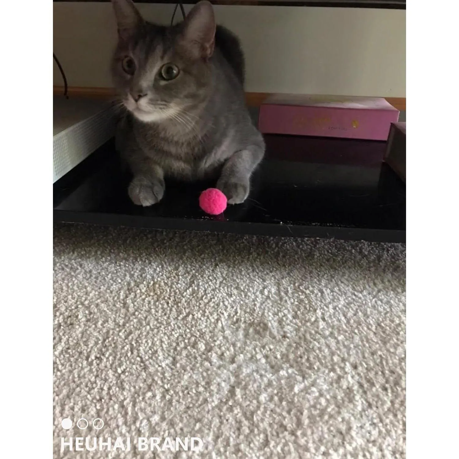 Pelotas Interactivas para Gatos con Textura Suave y Colores Vibrantes 4