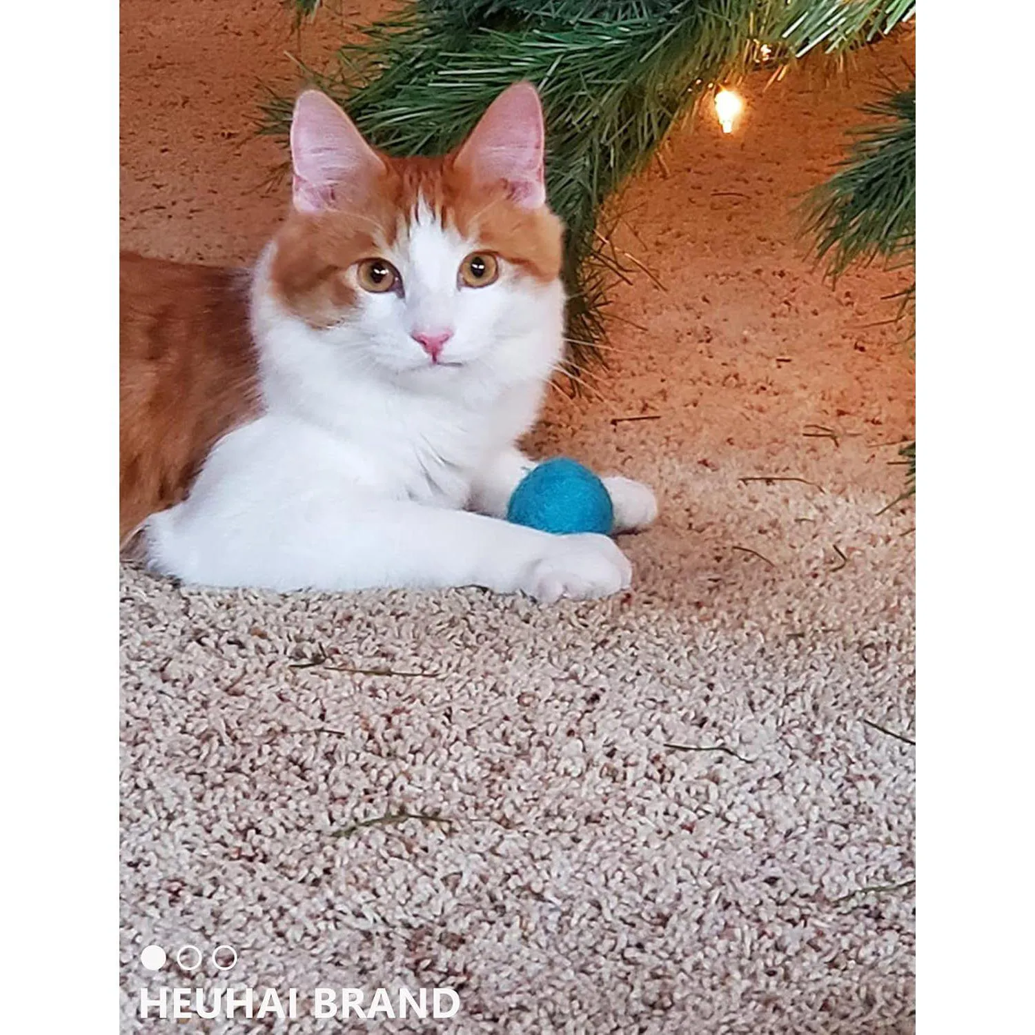 Pelotas Interactivas para Gatos con Textura Suave y Colores Vibrantes 5