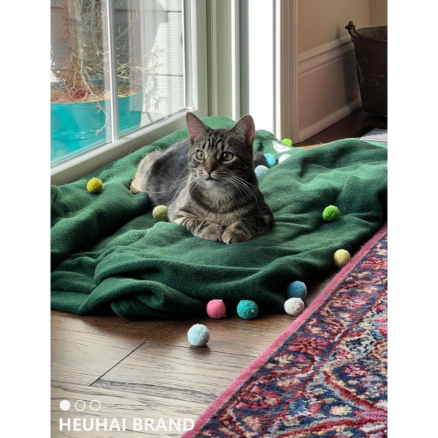 Pelotas Interactivas para Gatos con Textura Suave y Colores Vibrantes 6