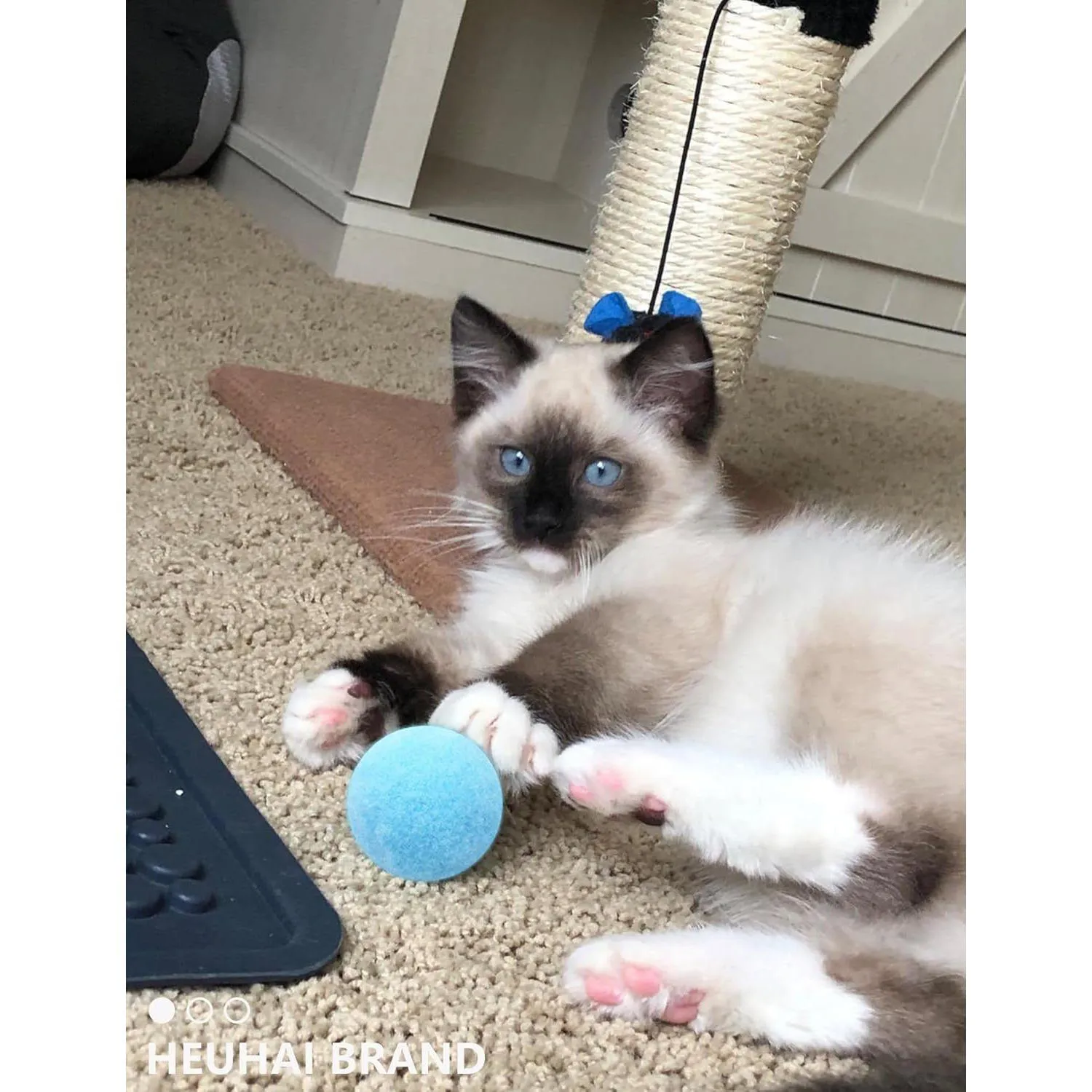 Pelotas Interactivas para Gatos con Textura Suave y Colores Vibrantes 9