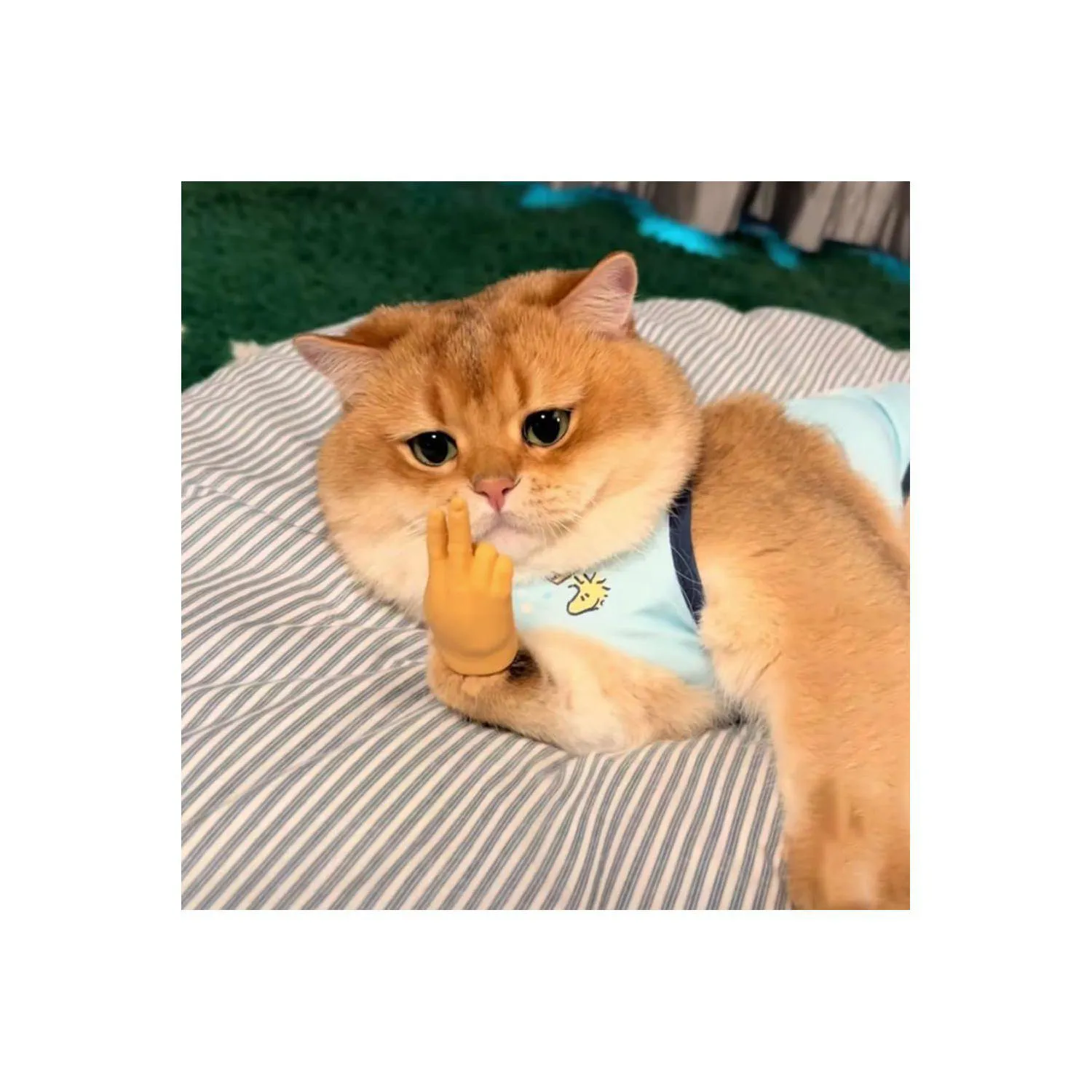 Manos Elásticas para Gatos con Diseño Divertido y Material Suave 5