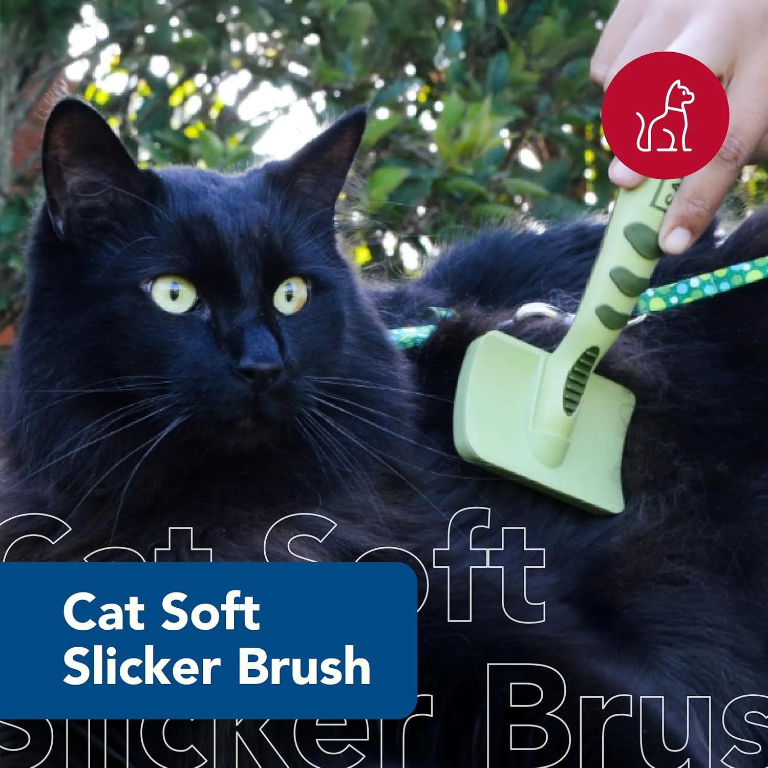 Cepillo Suave Coastal Pet Safari Para Gatos Con Cerdas De Acero Inoxidable