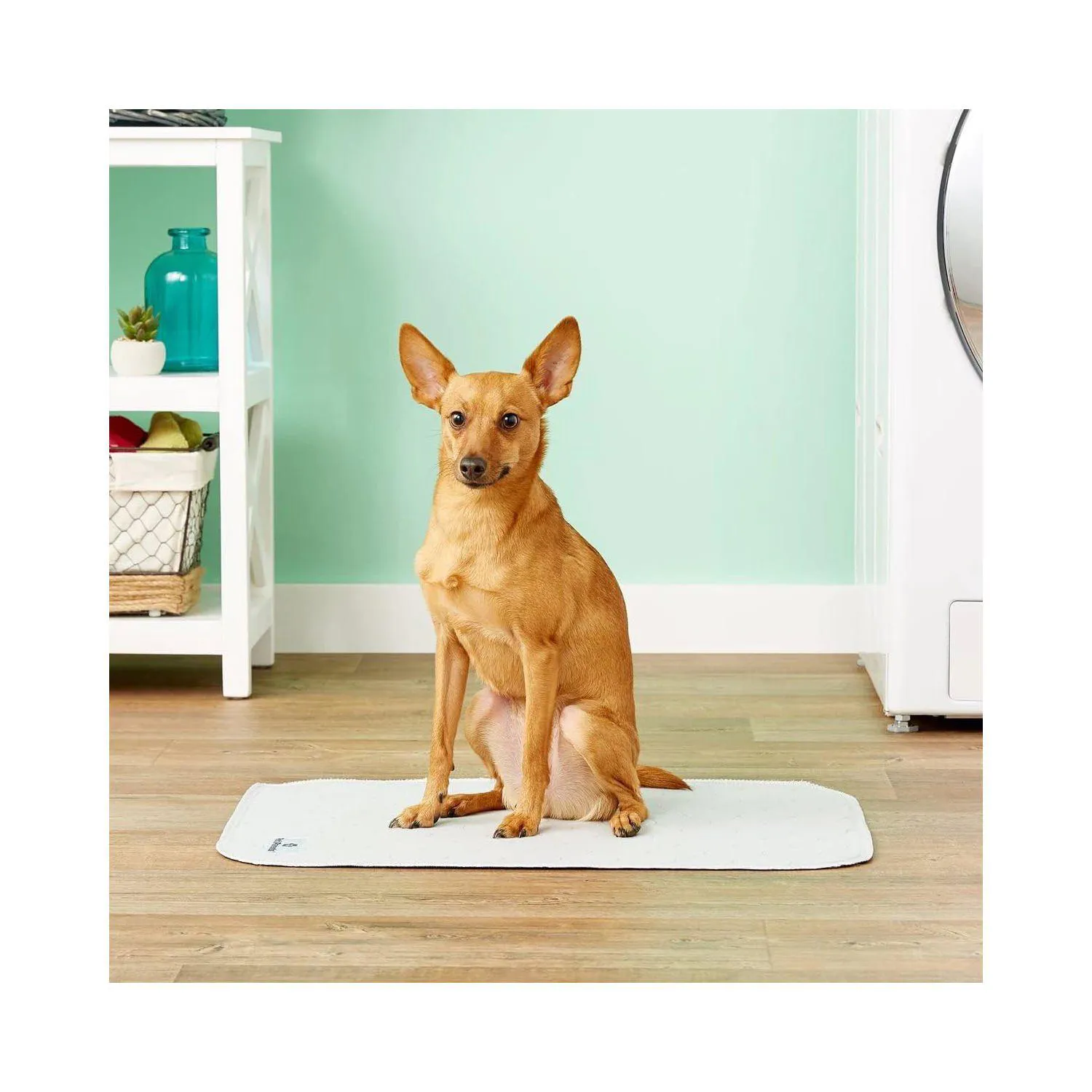 Almohadillas Lavables Impermeables Para Entrenamiento De Perros Reutilizables 4