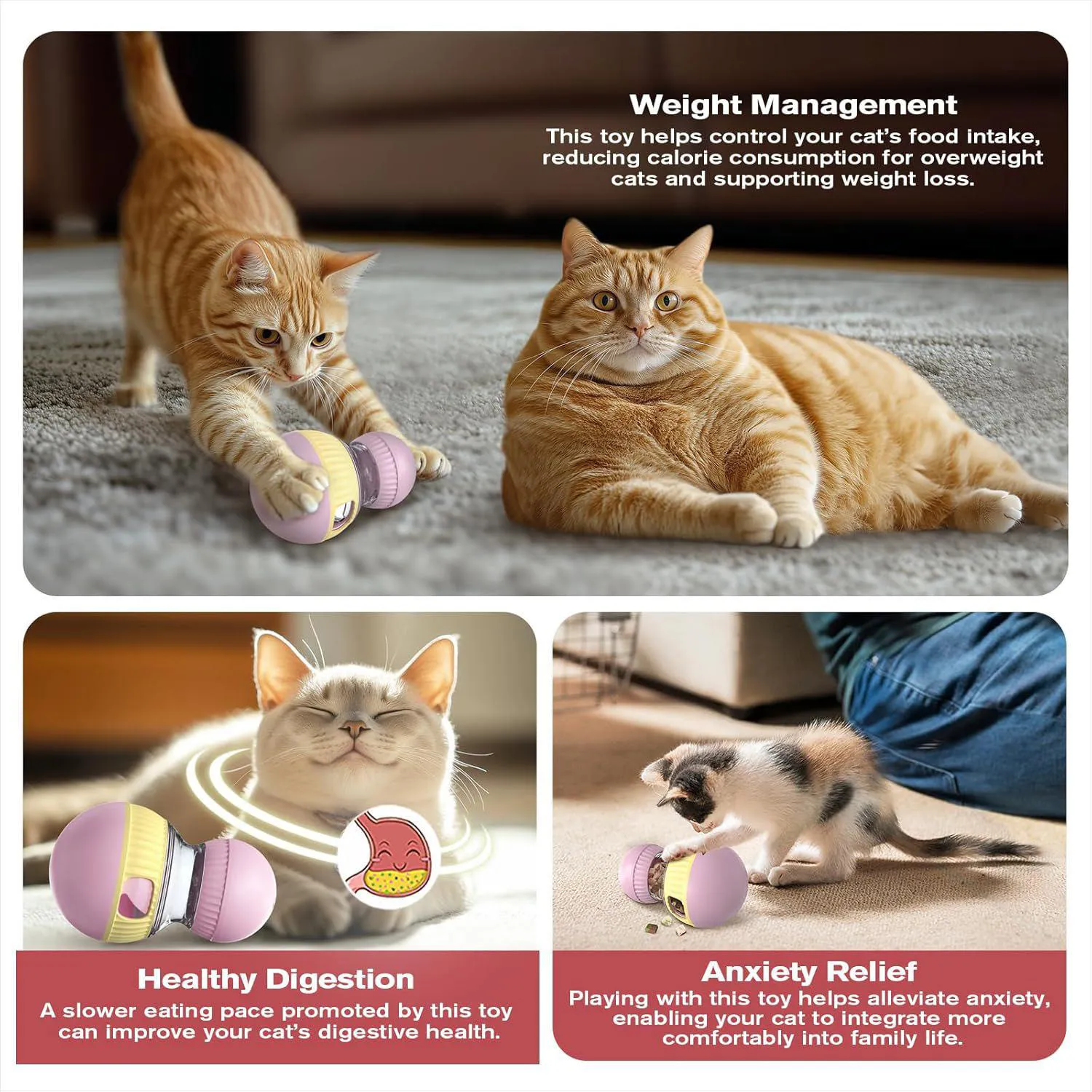 Juguete Dispensador de Premios para Gato con Sonido Interactivo 6
