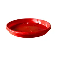 Plato Decorativo 36