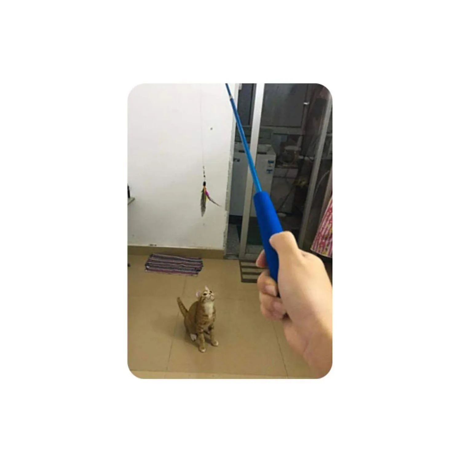 Varita Retráctil para Gato con Mango Ergonómico y Diseño Extensible 5