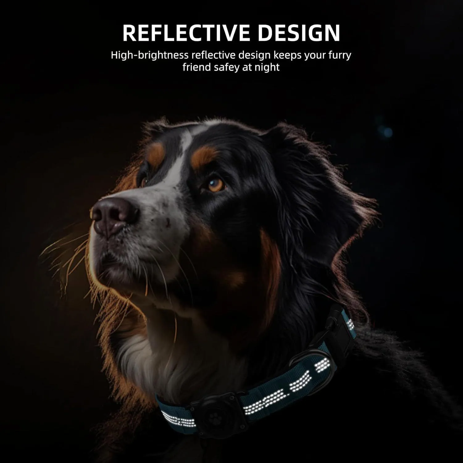 Collar Azul Para Perro Mediano Impermeable Reflectante Con Soporte Para Apple Airtag Furrig 4