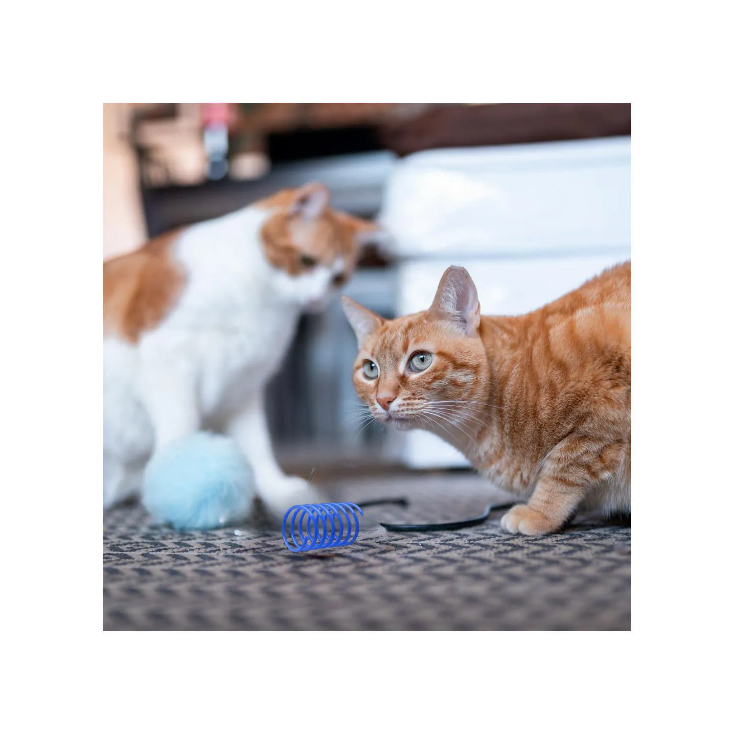 Juguetes de Resorte para Gatos con Diseño Colorido y Material Seguro 3