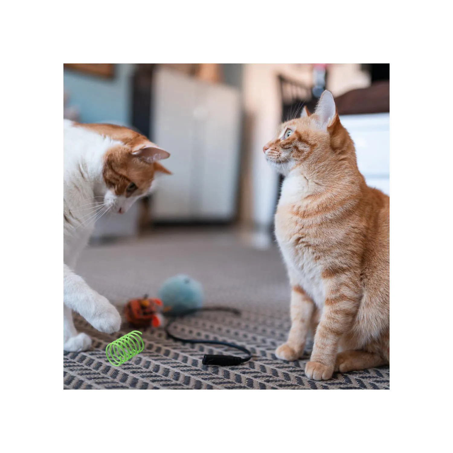 Juguetes de Resorte para Gatos con Diseño Colorido y Material Seguro 4