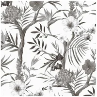 Papel Colgadura Botanico Bl-Ng 53 Cm X 10 M