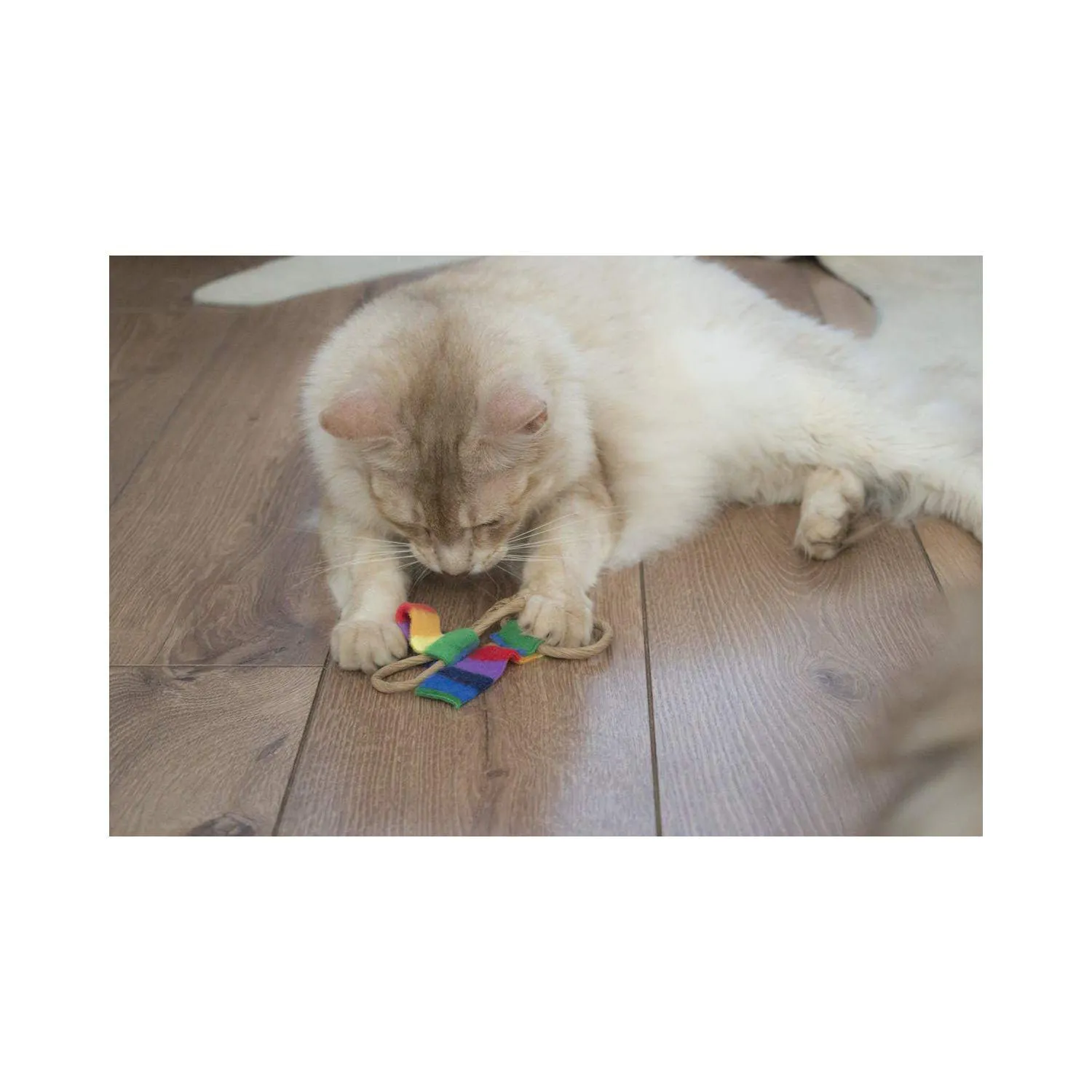 Juguete Interactivo para Gatos con Varita Flexible y Flecos de Colores