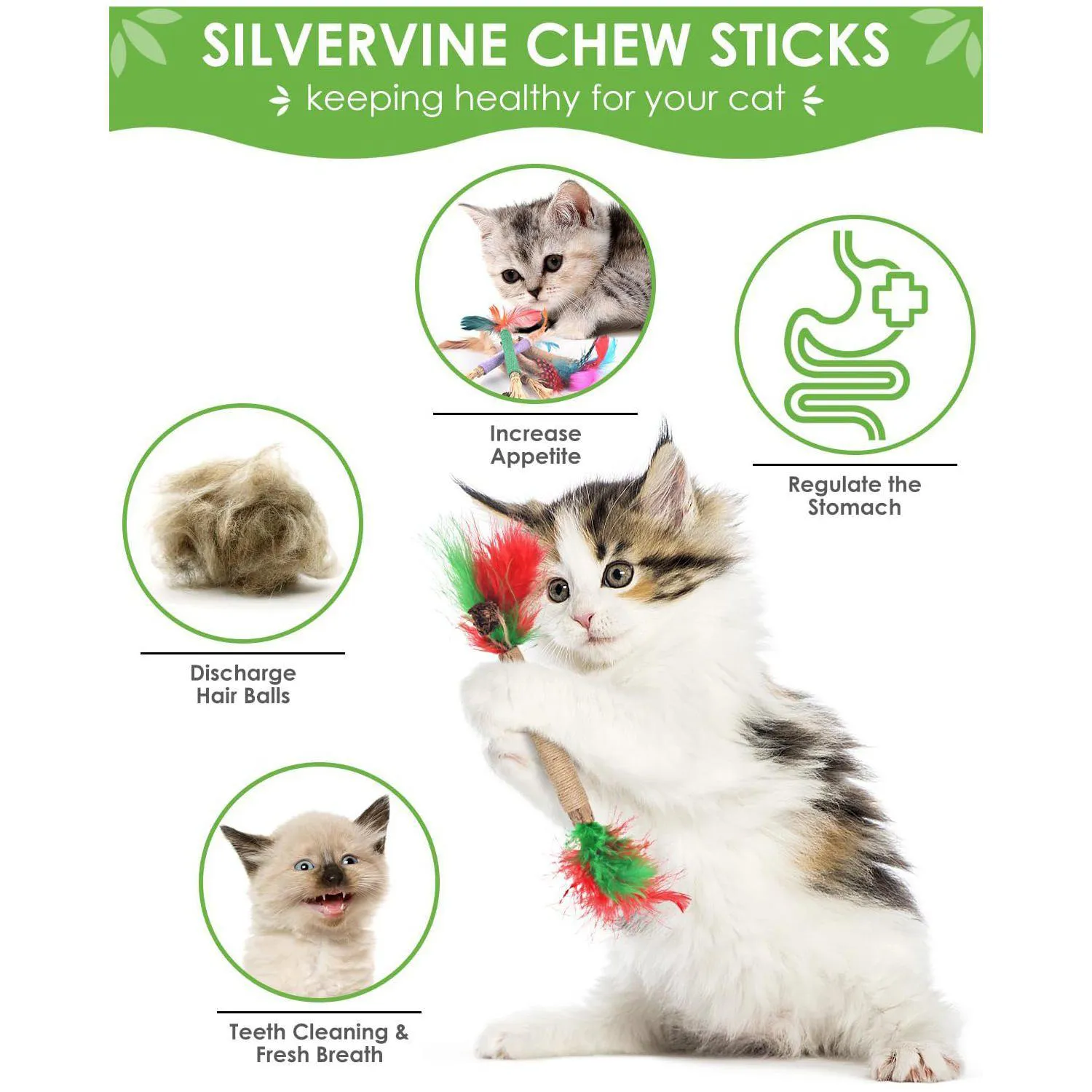 Juguetes Dentales para Gatos con Palitos de Silvervine y Cuerdas Naturales 3