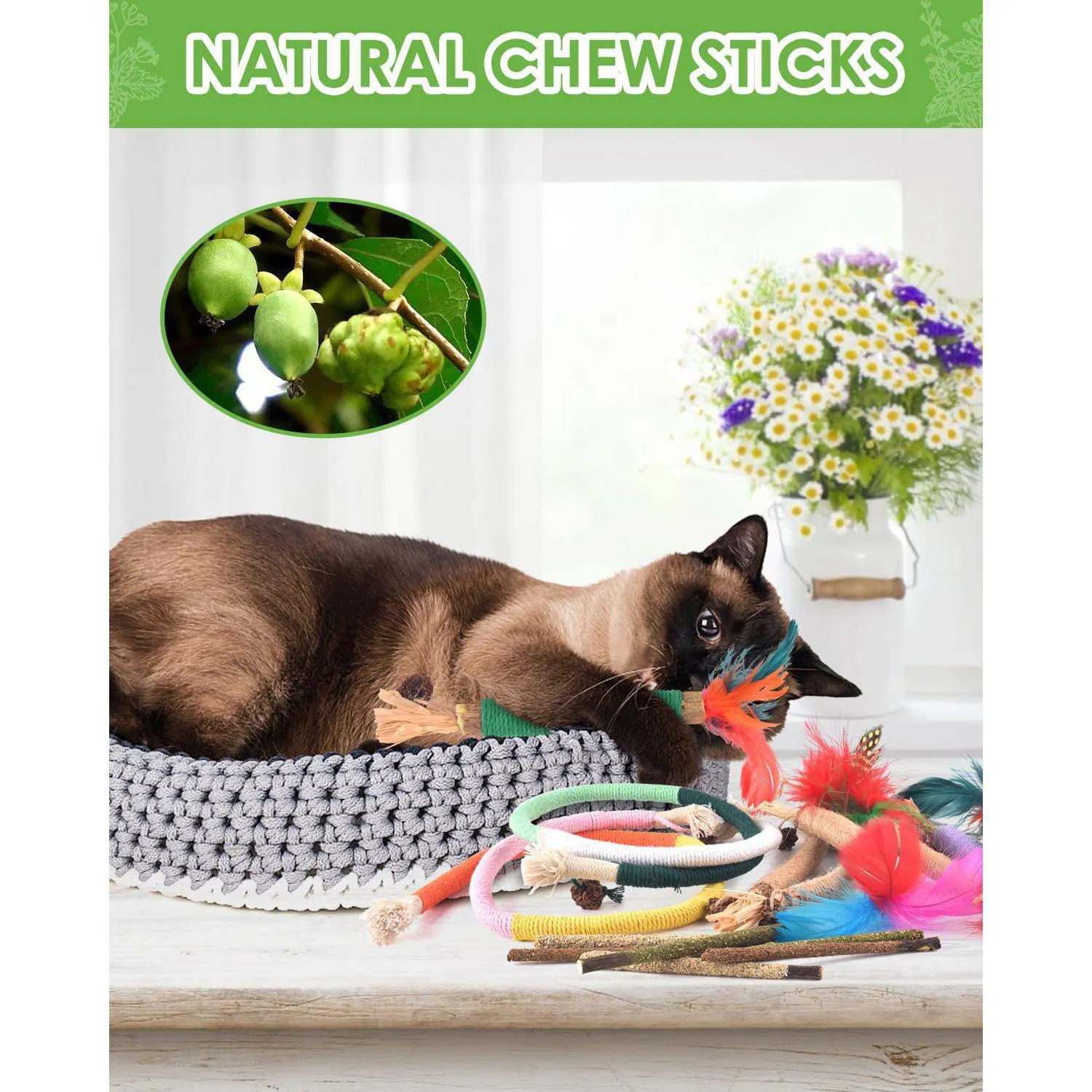 Juguetes Dentales para Gatos con Palitos de Silvervine y Cuerdas Naturales 5